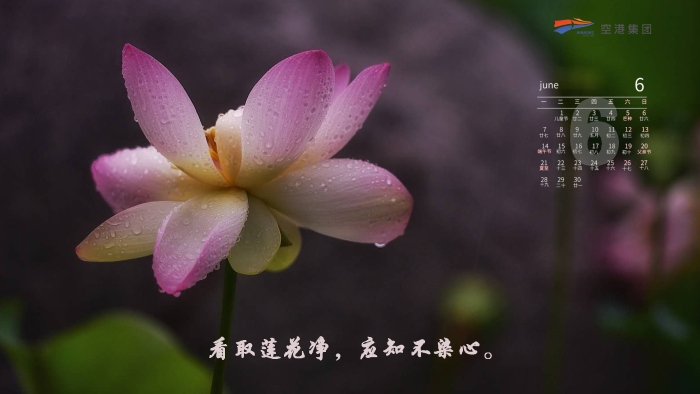 微信图片_20210531180752